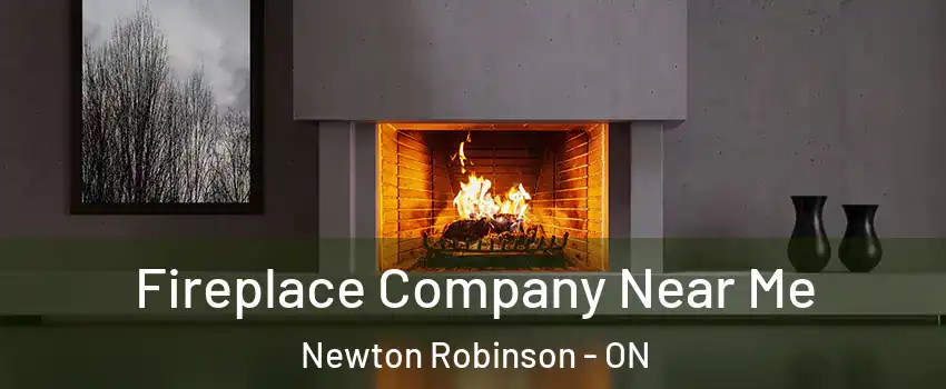 Fireplace Company Near Me Newton Robinson - ON