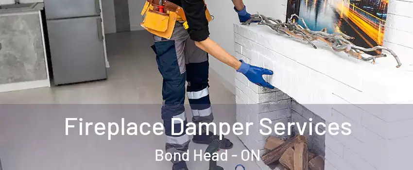  Fireplace Damper Services Bond Head - ON