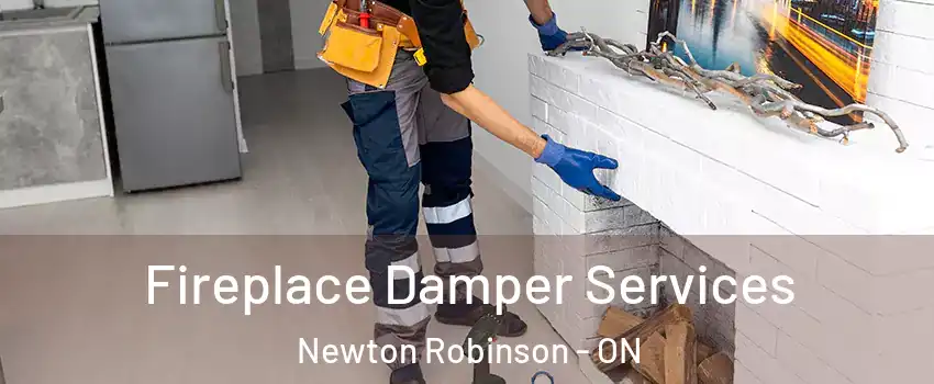  Fireplace Damper Services Newton Robinson - ON
