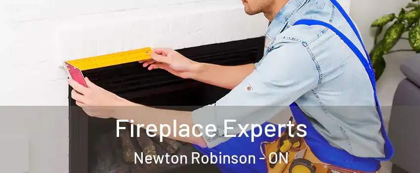  Fireplace Experts Newton Robinson - ON