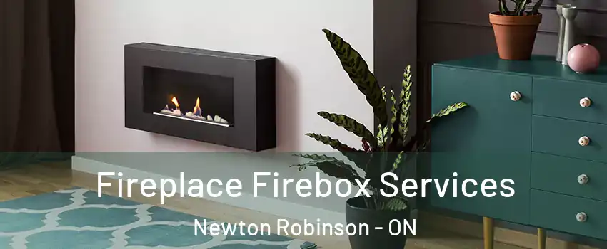 Fireplace Firebox Services Newton Robinson - ON
