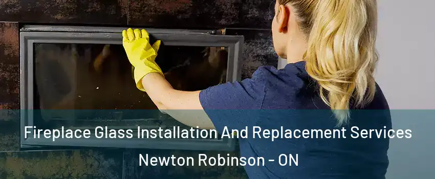 Fireplace Glass Installation And Replacement Services Newton Robinson - ON