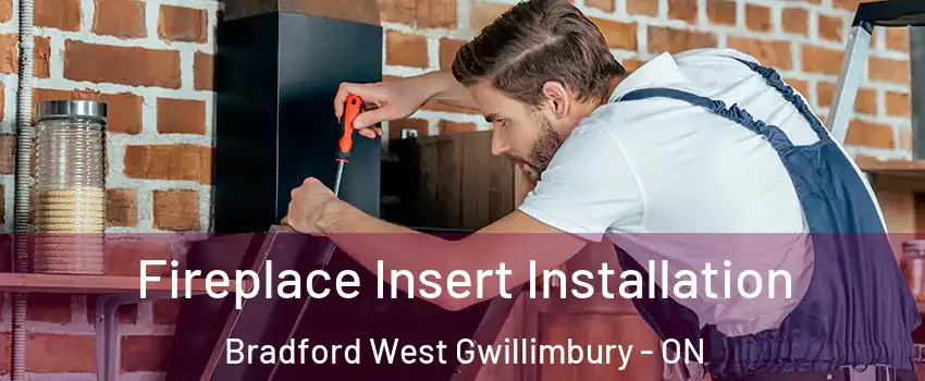  Fireplace Insert Installation Bradford West Gwillimbury - ON