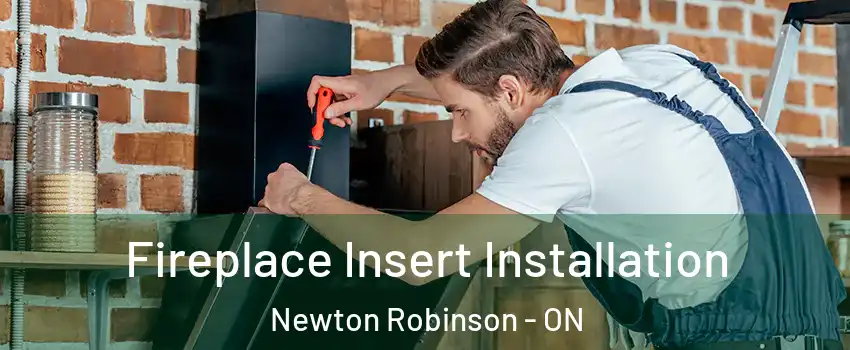  Fireplace Insert Installation Newton Robinson - ON
