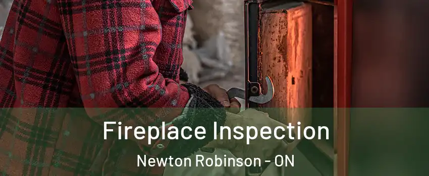  Fireplace Inspection Newton Robinson - ON
