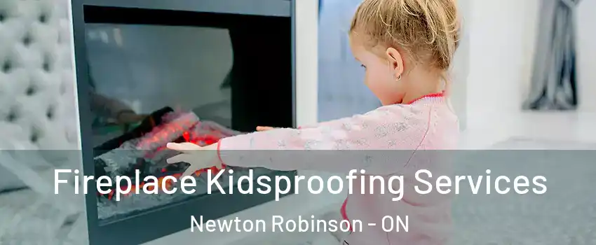  Fireplace Kidsproofing Services Newton Robinson - ON
