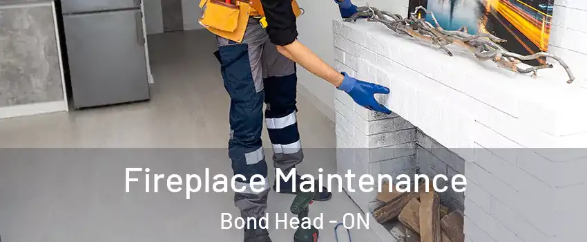  Fireplace Maintenance Bond Head - ON