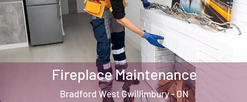  Fireplace Maintenance Bradford West Gwillimbury - ON