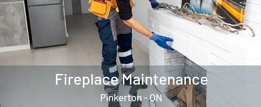  Fireplace Maintenance Pinkerton - ON