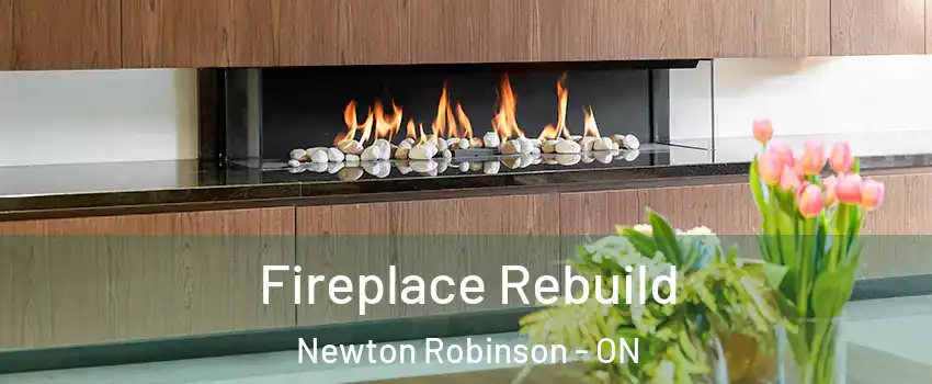  Fireplace Rebuild Newton Robinson - ON