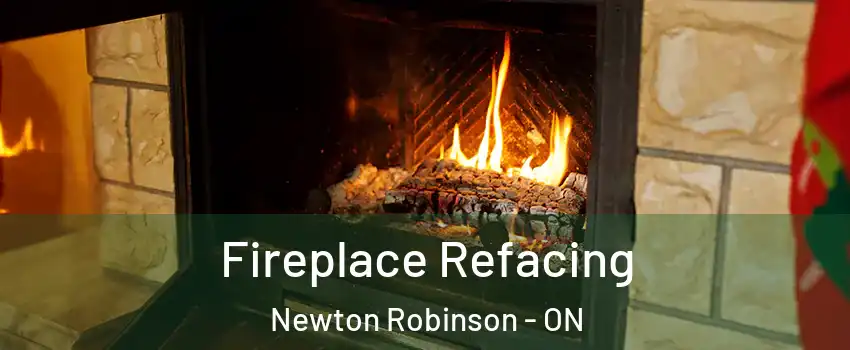  Fireplace Refacing Newton Robinson - ON
