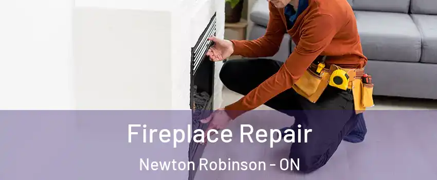  Fireplace Repair Newton Robinson - ON
