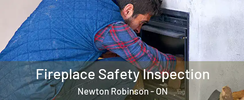 Fireplace Safety Inspection Newton Robinson - ON
