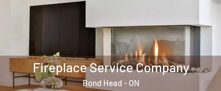  Fireplace Service Company Bond Head - ON
