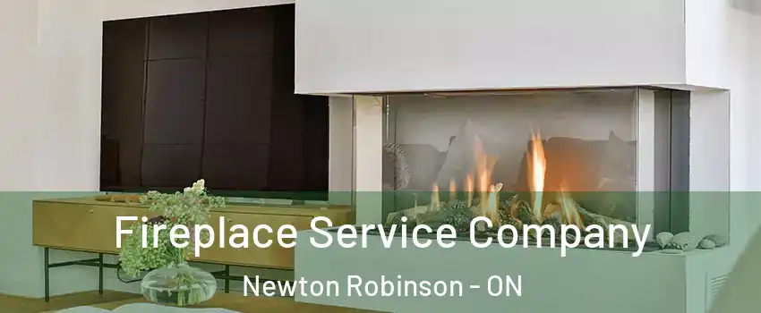 Fireplace Service Company Newton Robinson - ON