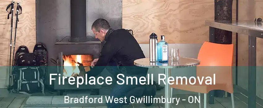  Fireplace Smell Removal Bradford West Gwillimbury - ON