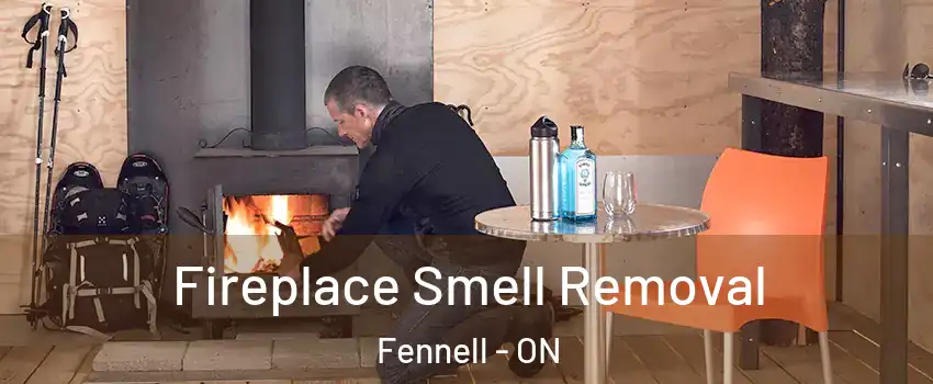  Fireplace Smell Removal Fennell - ON