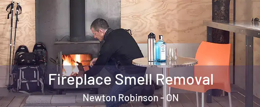  Fireplace Smell Removal Newton Robinson - ON
