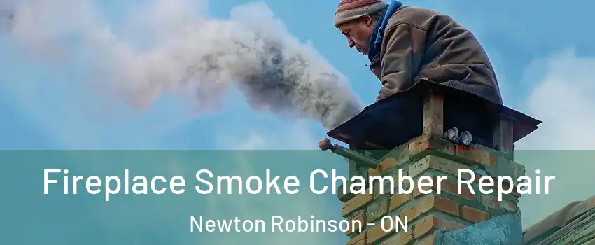  Fireplace Smoke Chamber Repair Newton Robinson - ON