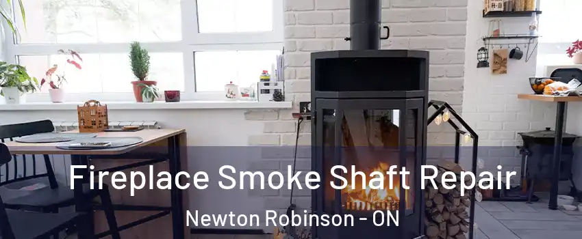  Fireplace Smoke Shaft Repair Newton Robinson - ON