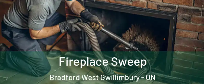  Fireplace Sweep Bradford West Gwillimbury - ON