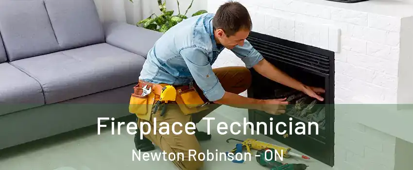 Fireplace Technician Newton Robinson - ON