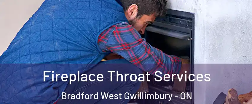  Fireplace Throat Services Bradford West Gwillimbury - ON