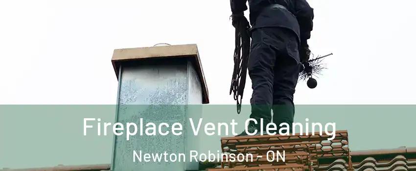  Fireplace Vent Cleaning Newton Robinson - ON