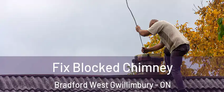  Fix Blocked Chimney Bradford West Gwillimbury - ON