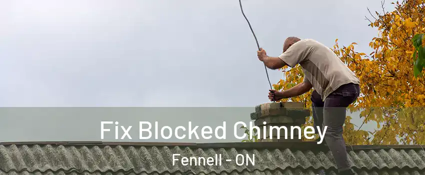  Fix Blocked Chimney Fennell - ON