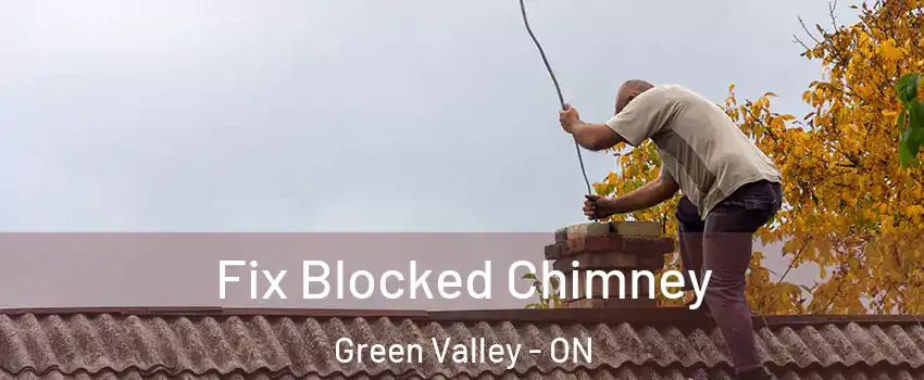  Fix Blocked Chimney Green Valley - ON