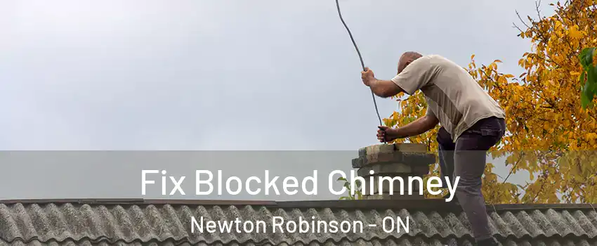  Fix Blocked Chimney Newton Robinson - ON