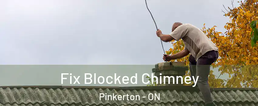  Fix Blocked Chimney Pinkerton - ON