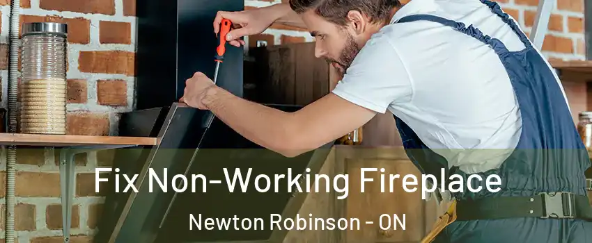  Fix Non-Working Fireplace Newton Robinson - ON