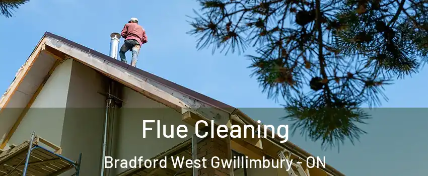 Flue Cleaning Bradford West Gwillimbury - ON