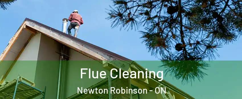  Flue Cleaning Newton Robinson - ON