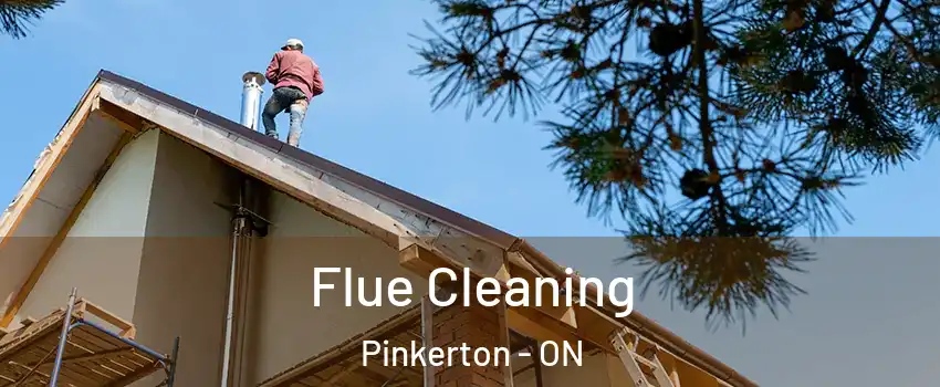  Flue Cleaning Pinkerton - ON