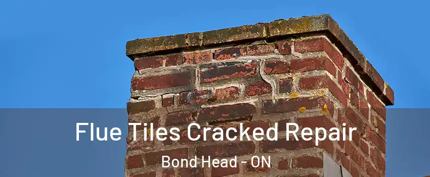  Flue Tiles Cracked Repair Bond Head - ON