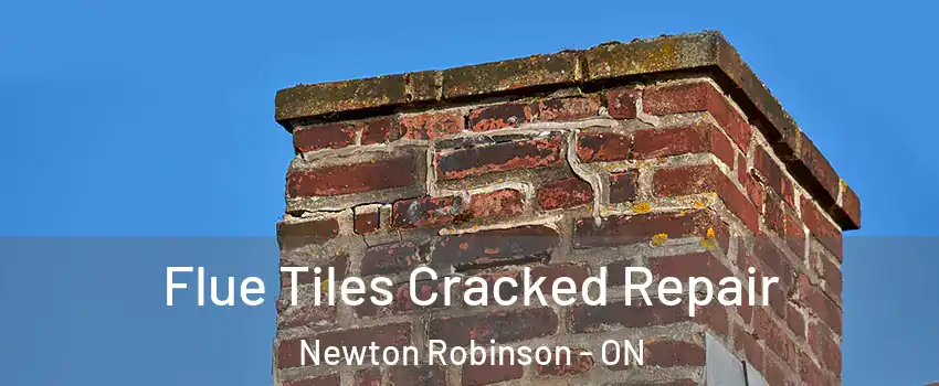 Flue Tiles Cracked Repair Newton Robinson - ON