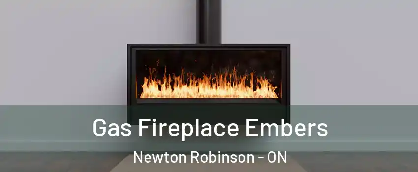  Gas Fireplace Embers Newton Robinson - ON