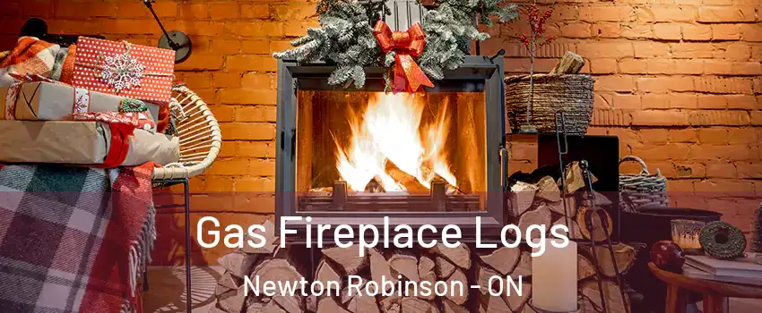  Gas Fireplace Logs Newton Robinson - ON
