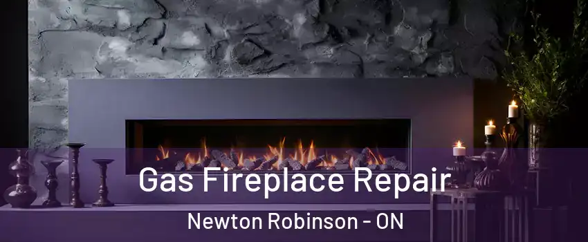  Gas Fireplace Repair Newton Robinson - ON