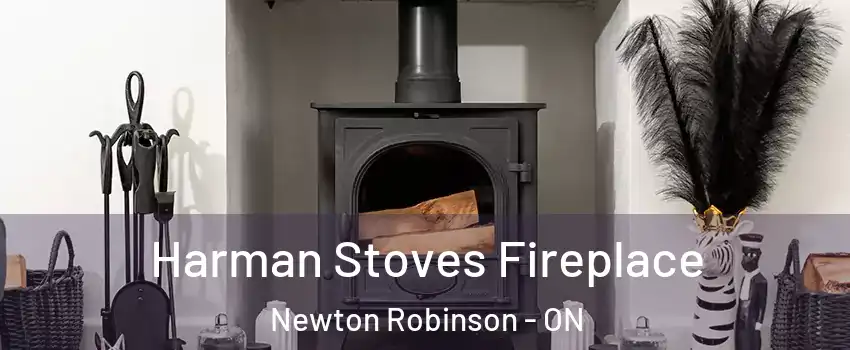  Harman Stoves Fireplace Newton Robinson - ON