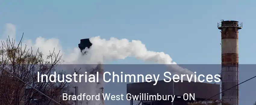  Industrial Chimney Services Bradford West Gwillimbury - ON