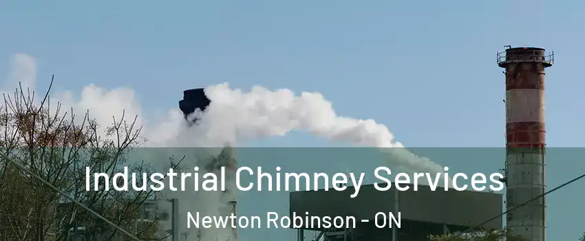  Industrial Chimney Services Newton Robinson - ON