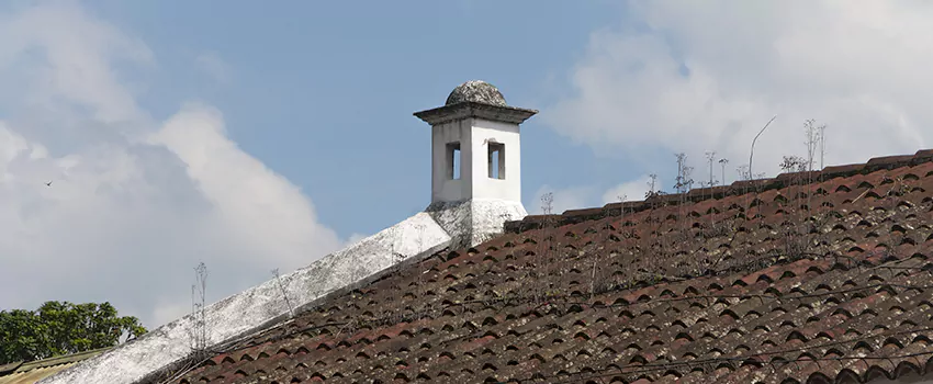Wind-Resistant Chimney Caps Installation and Repair Services in Newton Robinson, Ontario