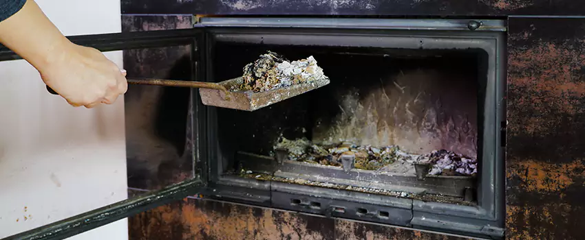 Wood Burning Chimney Odor Removal in Newton Robinson, Ontario