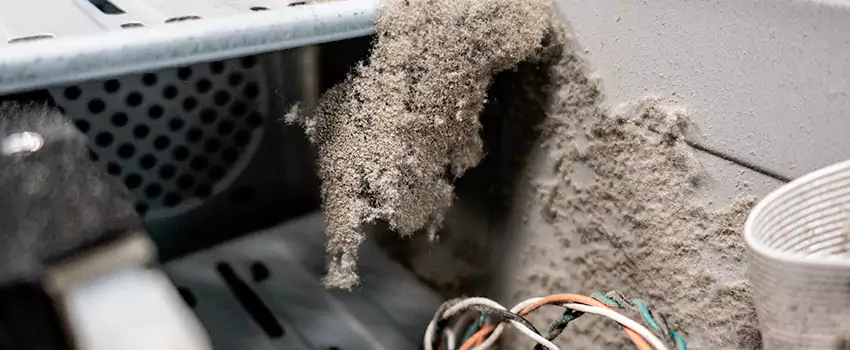 Clogged Dryer Vent Lint Cleaning in Newton Robinson, Ontario