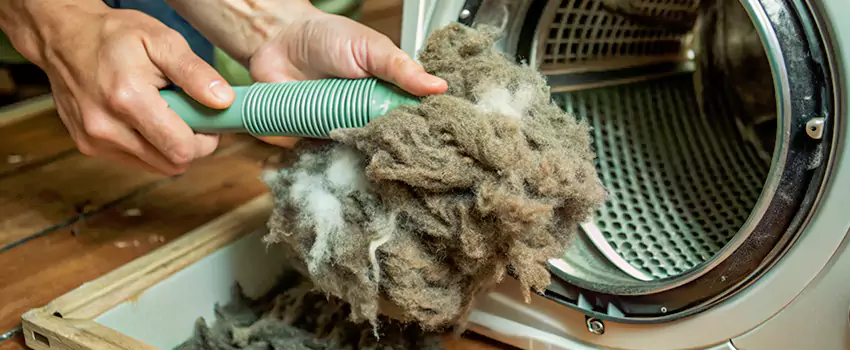 Best Dryer Lint Removal Company in Newton Robinson, Ontario