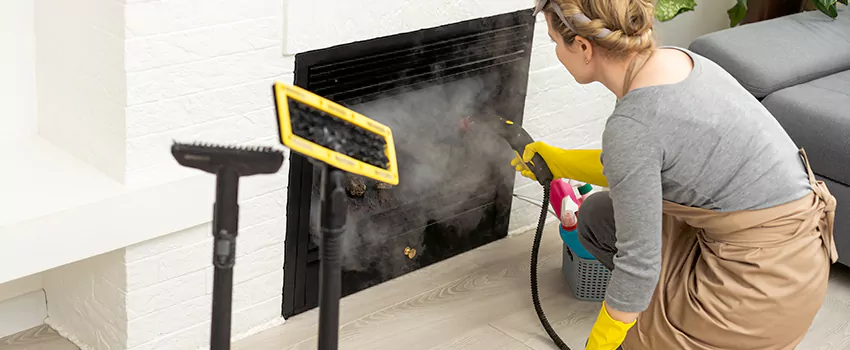 Fireplace Doors Cleaning in Newton Robinson, Ontario
